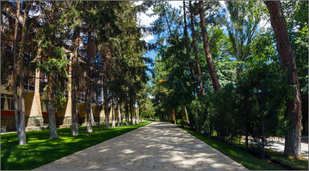 Арзни