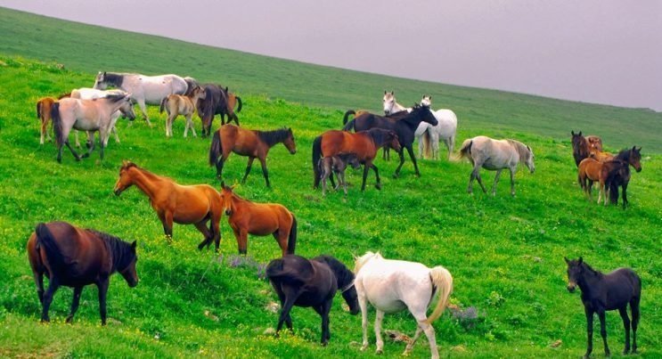 Classic Armenia <br /> 4 days / 3 nights